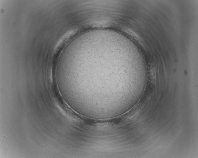 X0000071950686200607282009