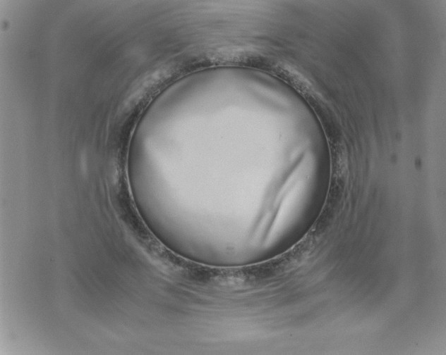 X0000071950687200607282009