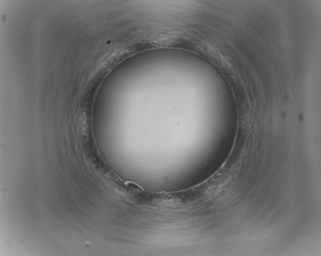 X0000071950689200607282009