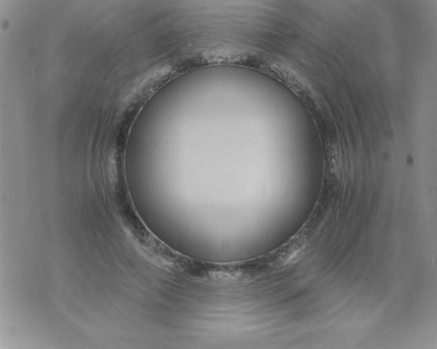 X0000071950690200607282009