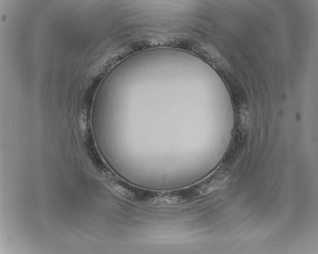 X0000071950691200607282009