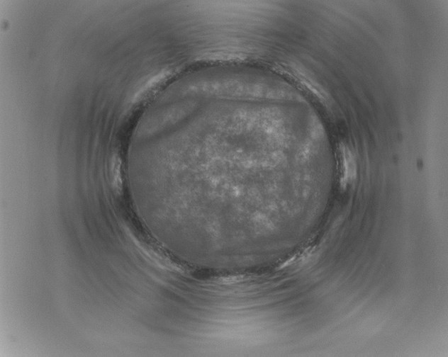 X0000071950692200607282009