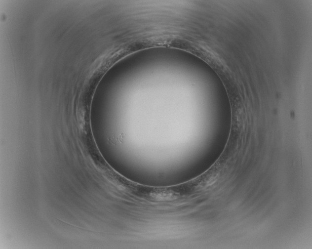 X0000071950693200607282009