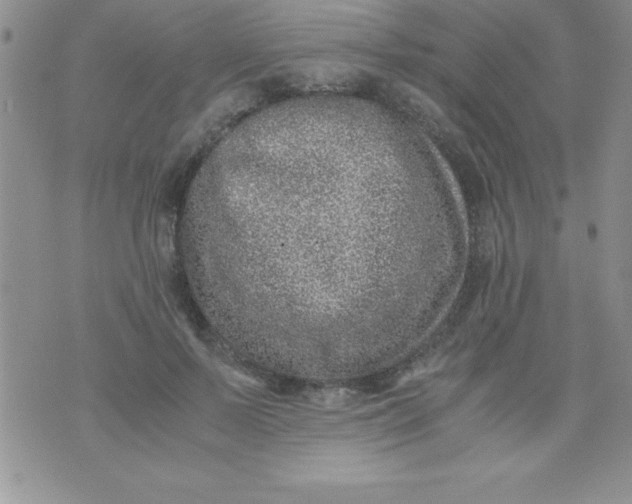 X0000071950695200607282009