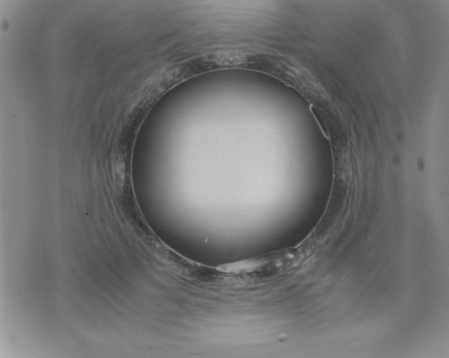 X0000071950697200607282008