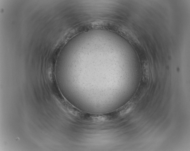 X0000071950698200607282008