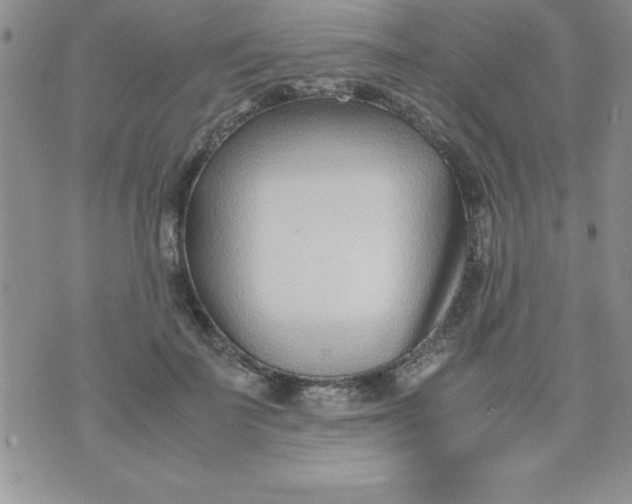 X0000071950699200607282008