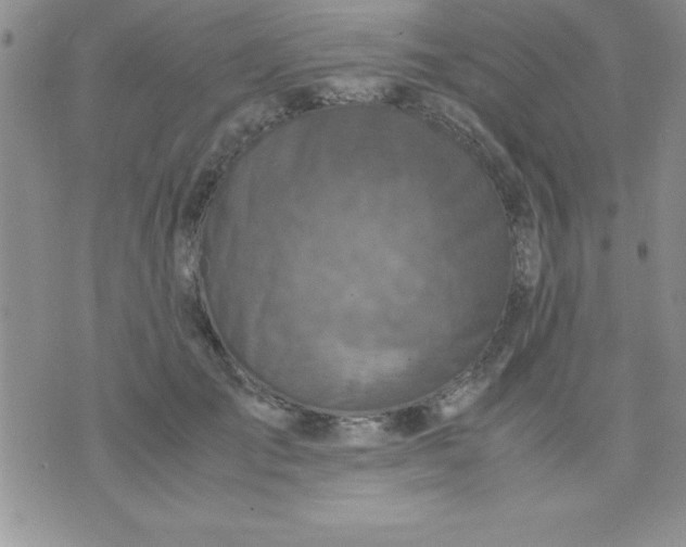 X0000071950701200607282008