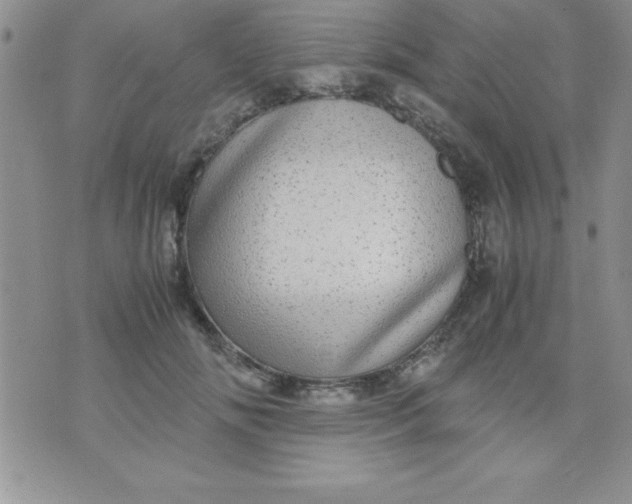 X0000071950702200607282008