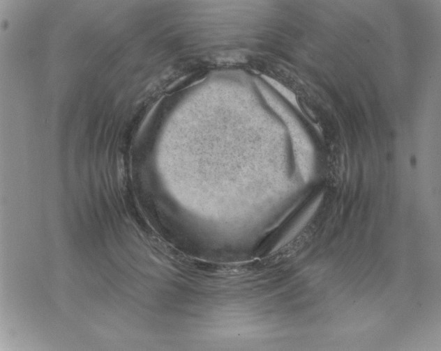 X0000071950704200607282008