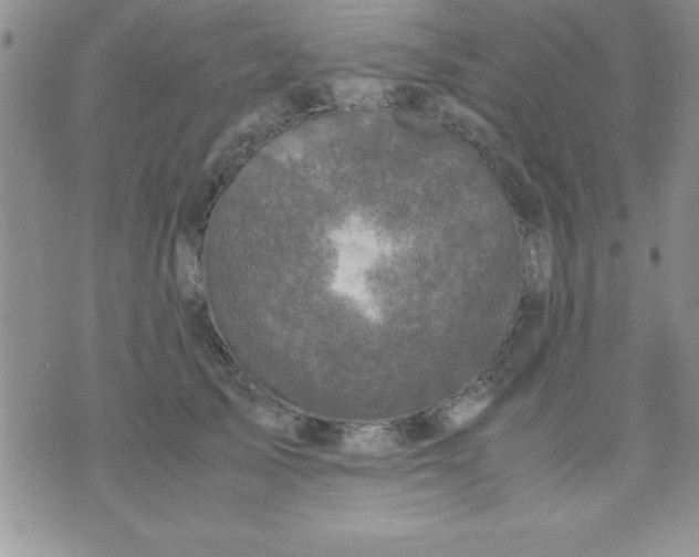 X0000071950705200607282008