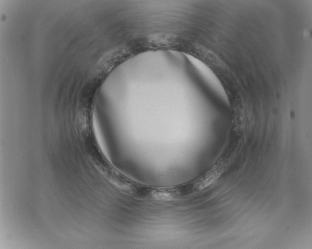 X0000071950706200607282008