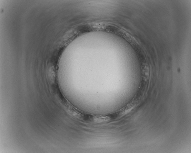 X0000071950707200607282008