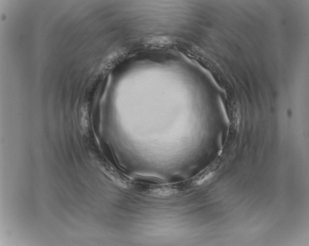 X0000071950708200607282008