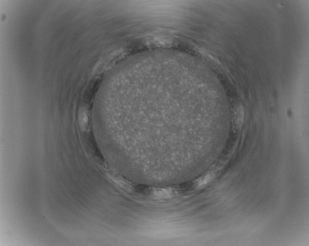 X0000071950709200607282008