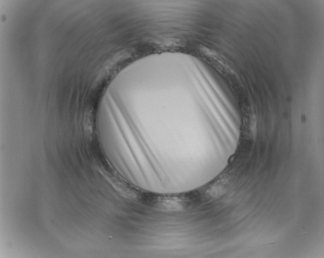 X0000071950710200607282008