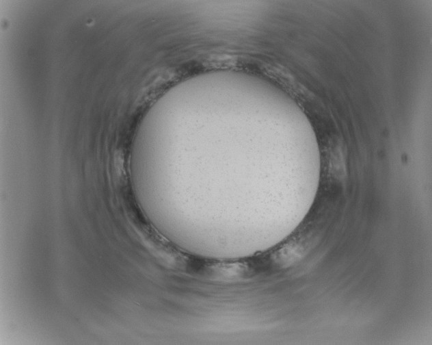 X0000071950711200607282008