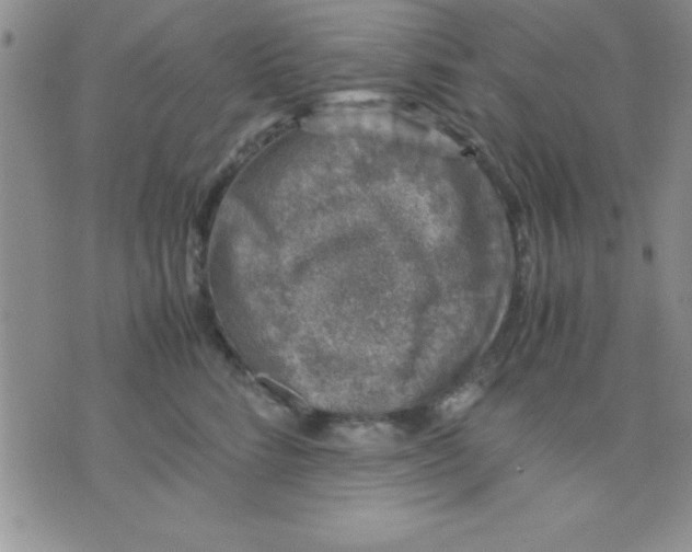 X0000071950712200607282008