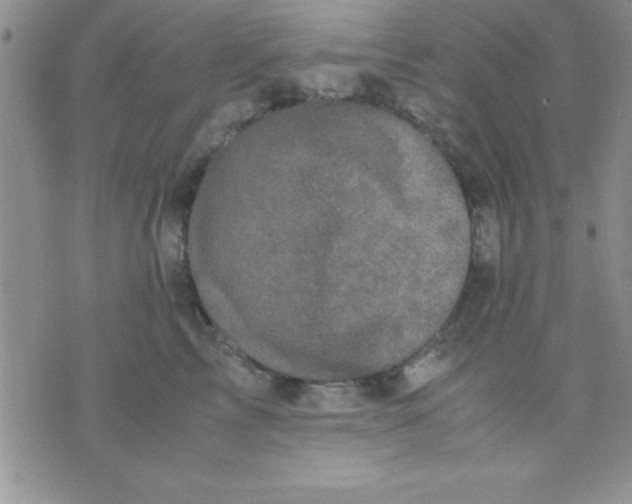 X0000071950713200607282008