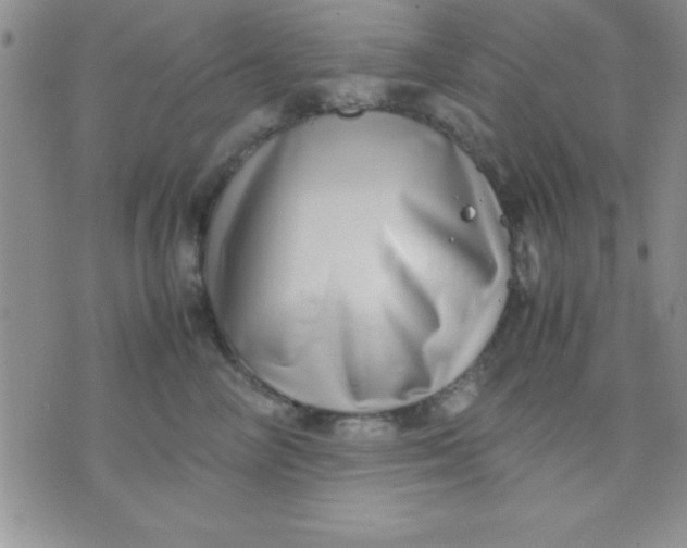 X0000071950714200607282008