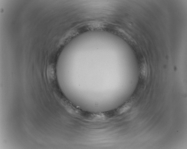 X0000071950715200607282008