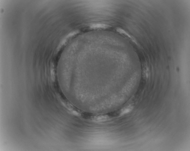 X0000071950716200607282008