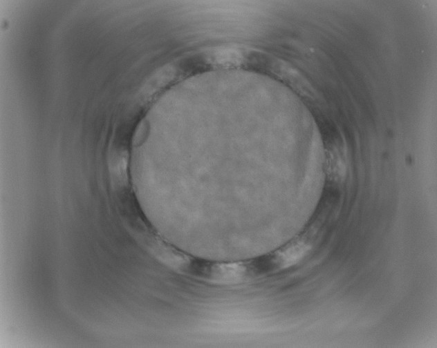 X0000071950717200607282008