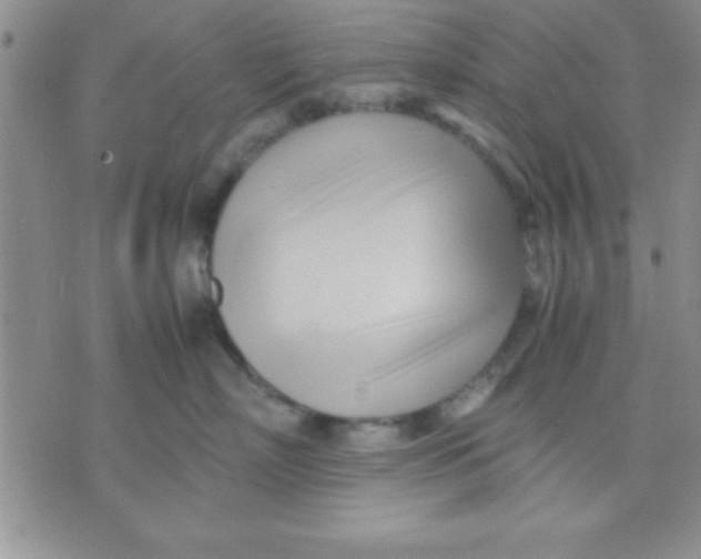 X0000071950718200607282008