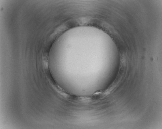 X0000071950719200607282008