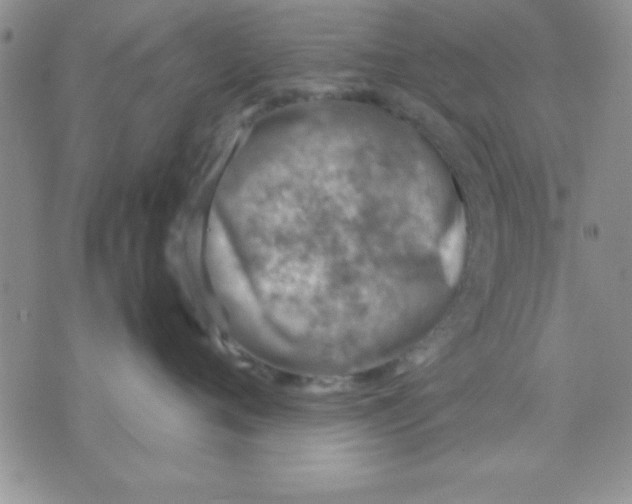 X0000071950720200607282008