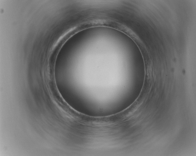 X0000071950722200607282007