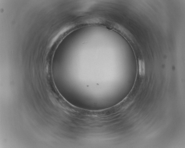 X0000071950723200607282007