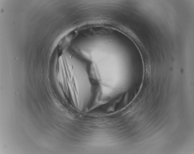 X0000071950724200607282007