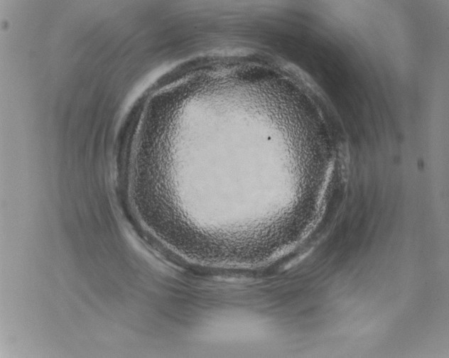 X0000071950726200607282007