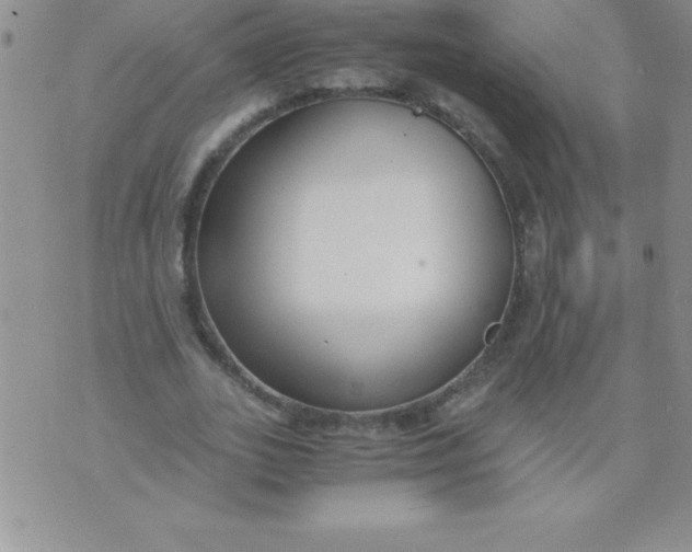 X0000071950727200607282007