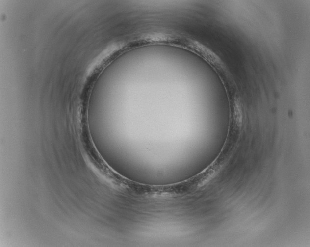 X0000071950730200607282007