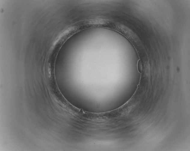 X0000071950731200607282007