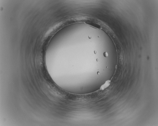 X0000071950732200607282007