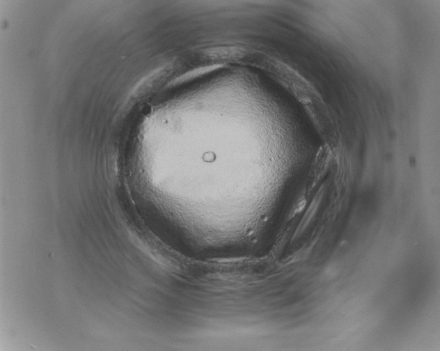 X0000071950733200607282008