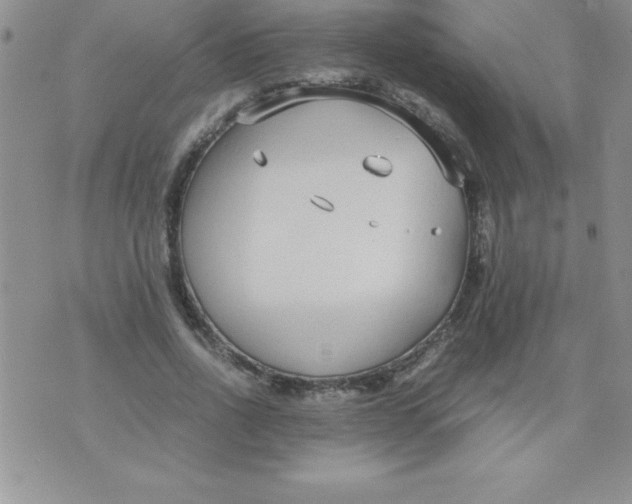 X0000071950734200607282008