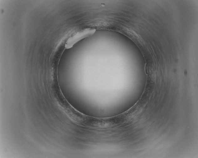 X0000071950735200607282008