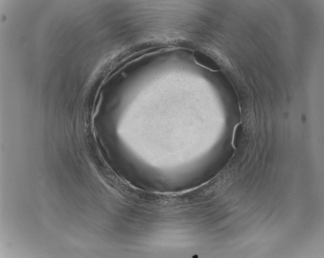 X0000071950736200607282008