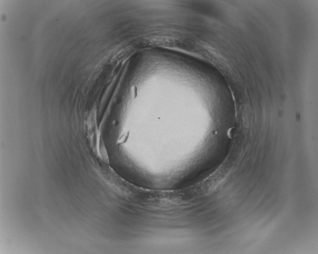 X0000071950737200607282008