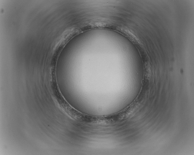 X0000071950738200607282008