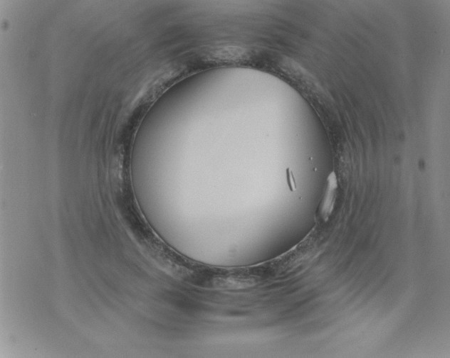 X0000071950739200607282008