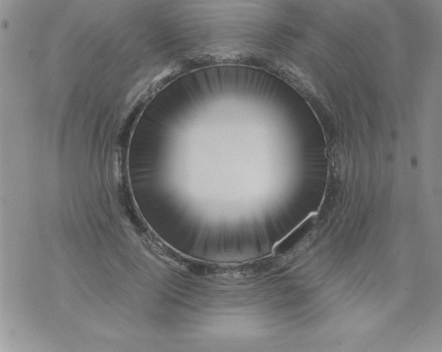 X0000071950740200607282008