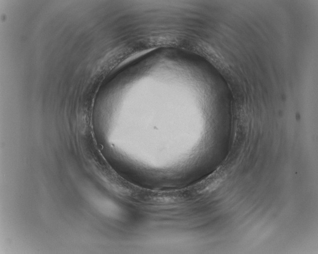 X0000071950741200607282008