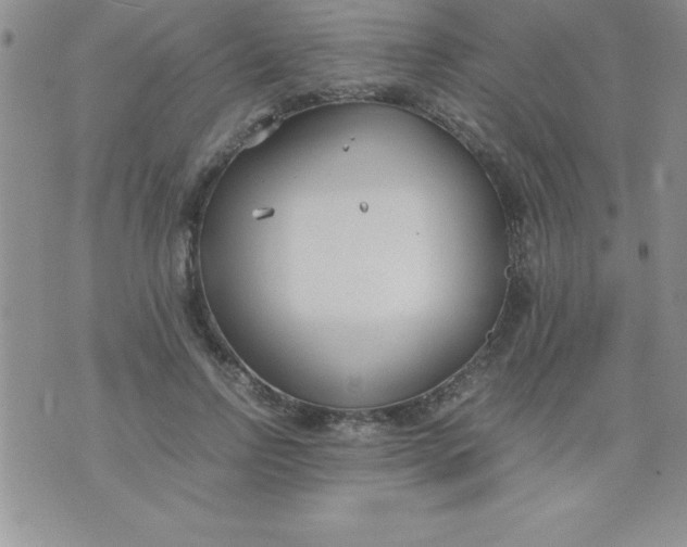 X0000071950742200607282008