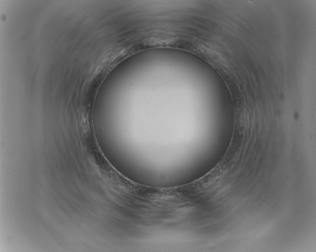 X0000071950743200607282008