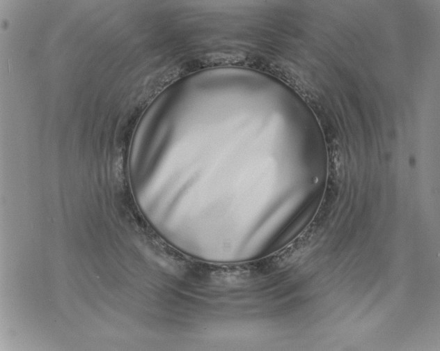 X0000071950745200607282008